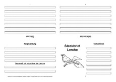 Lerche-Faltbuch-vierseitig-2.pdf
